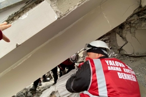 YALOVA TATBİKATI