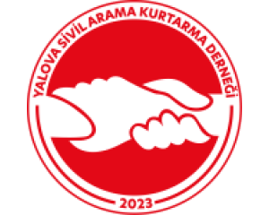 AYŞE DEMİR
